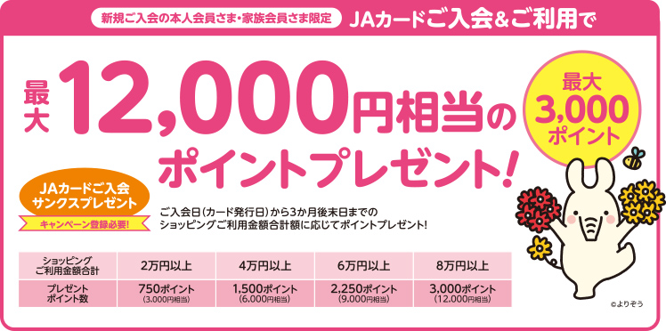 新規ご入会の本人会員さま・ご家族会員さま限定　JAカードご入会＆ご利用で最大12,000円相当のポイントプレゼント！【最大3,000円ポイント】